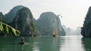 bay of descending dragons